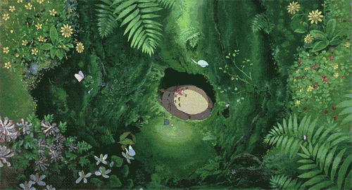 Studio Ghibli Animation